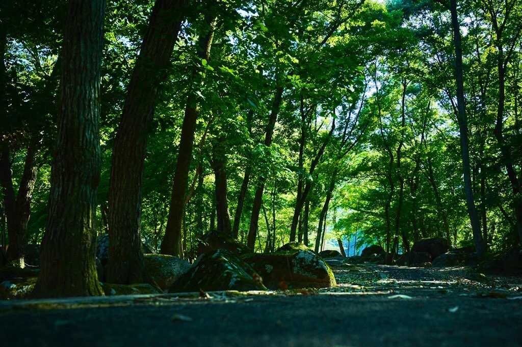 不動尊公園キャンプ場
