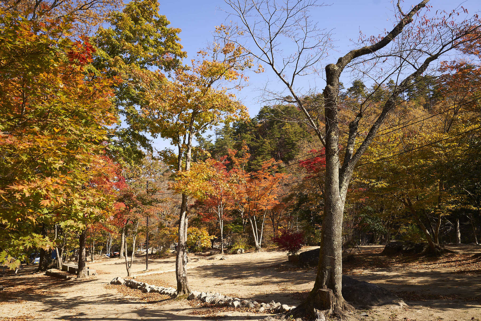 不動尊公園キャンプ場