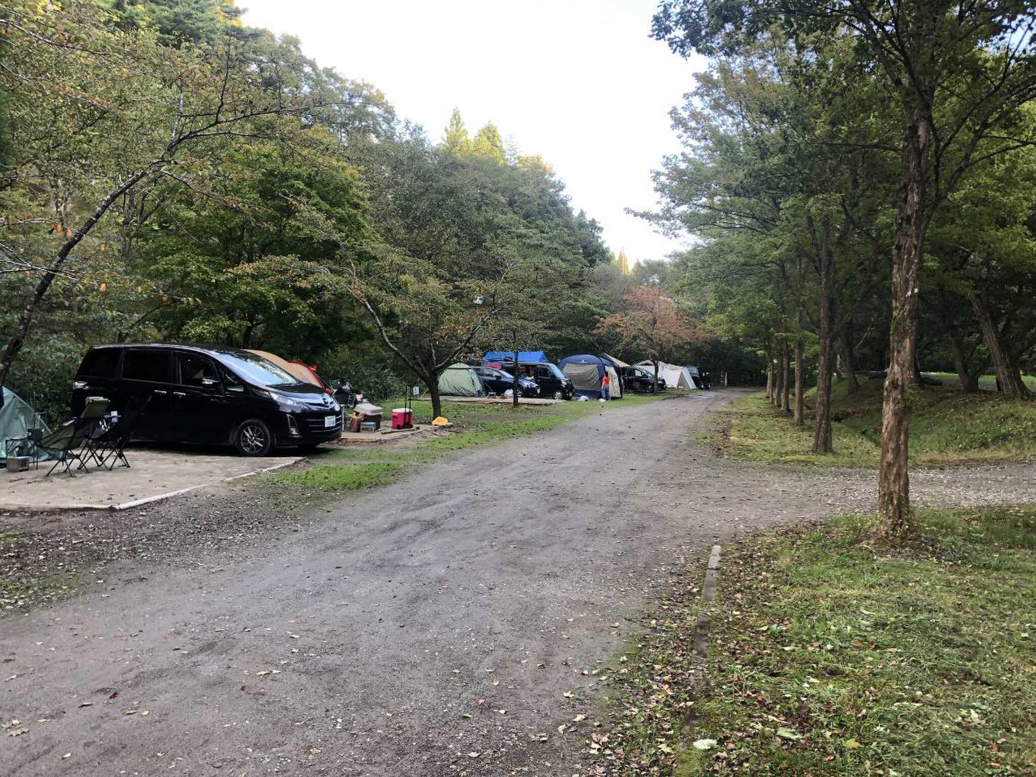たびのCAMPINGBASE 加美ゆーらんどの写真 4枚目