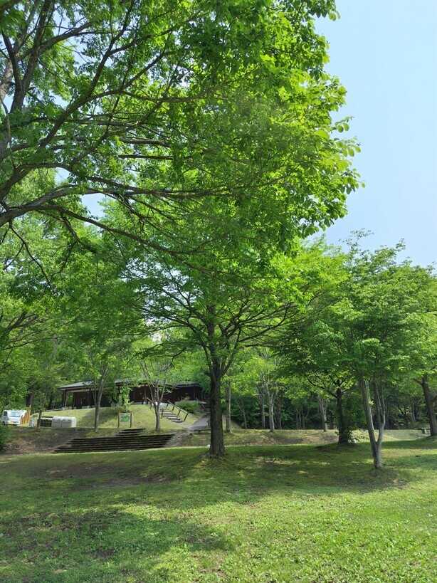 きららの森