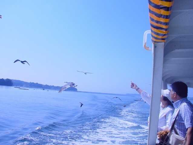 休暇村気仙沼大島キャンプ場