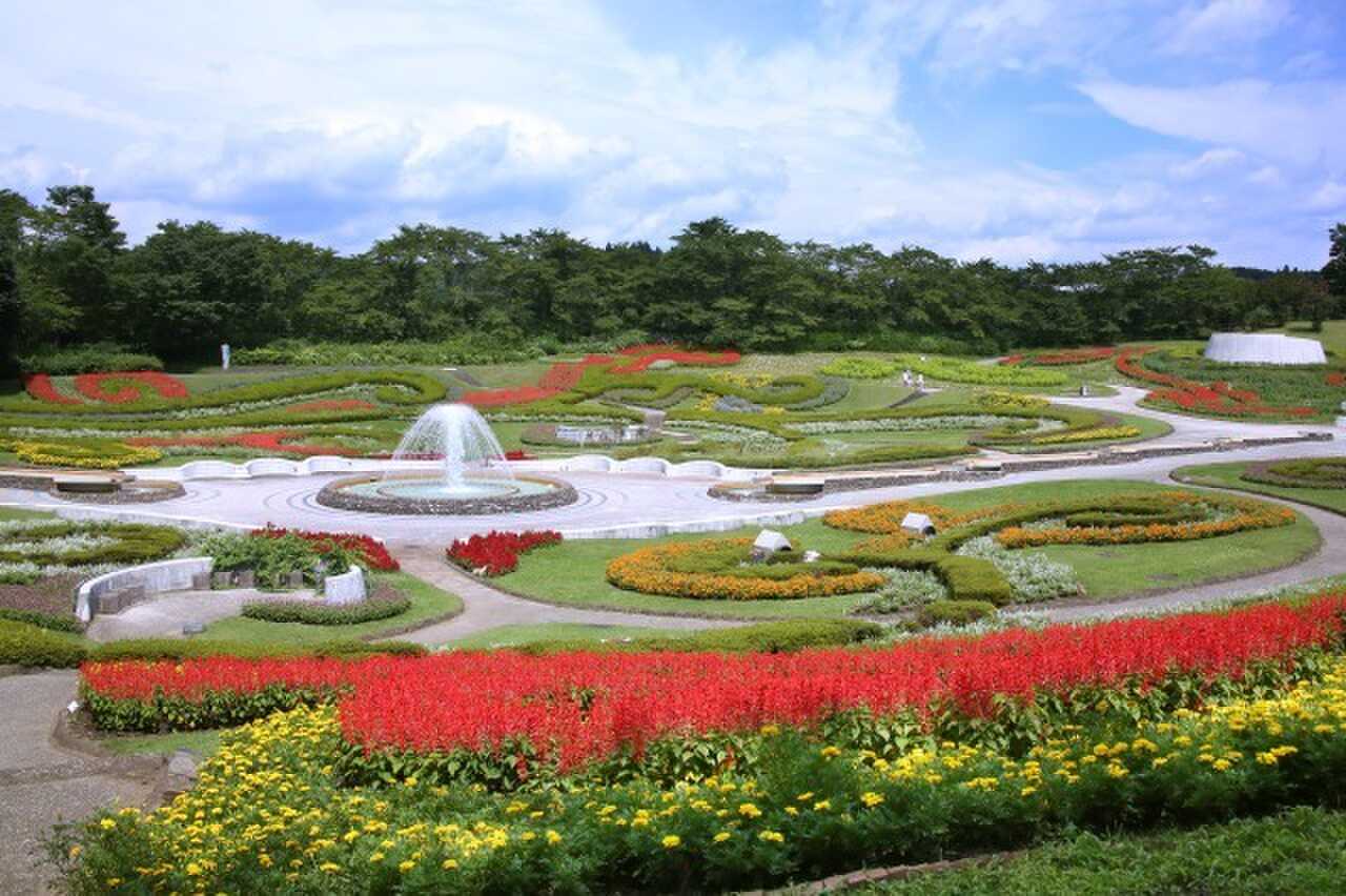 ご希望のお客様に「国営みちのく杜の湖畔公園」の「入場無料券」「無料駐車券」を発行しています!詳しくは別途ブログをご確認ください!