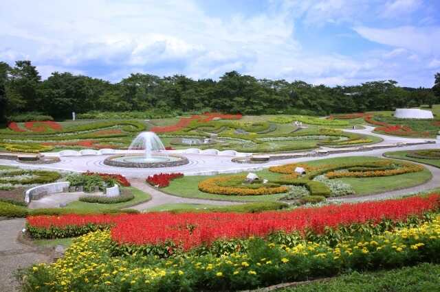 ご希望のお客様に「国営みちのく杜の湖畔公園」の「入場無料券」「無料駐車券」を発行しています!詳しくは別途ブログをご確認ください!