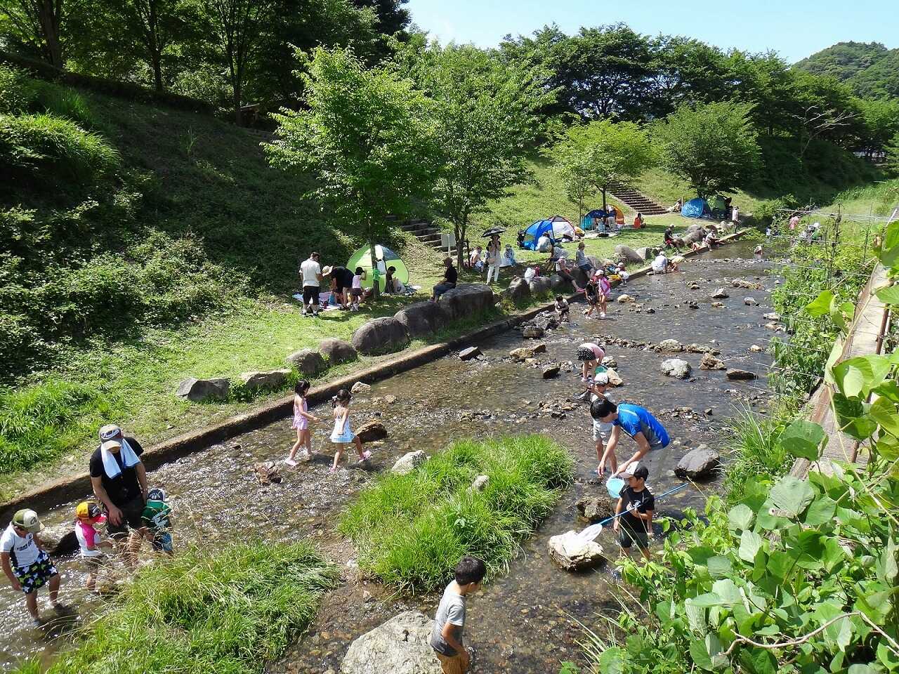 宇治市総合野外活動センター アクトパル宇治の写真 5枚目