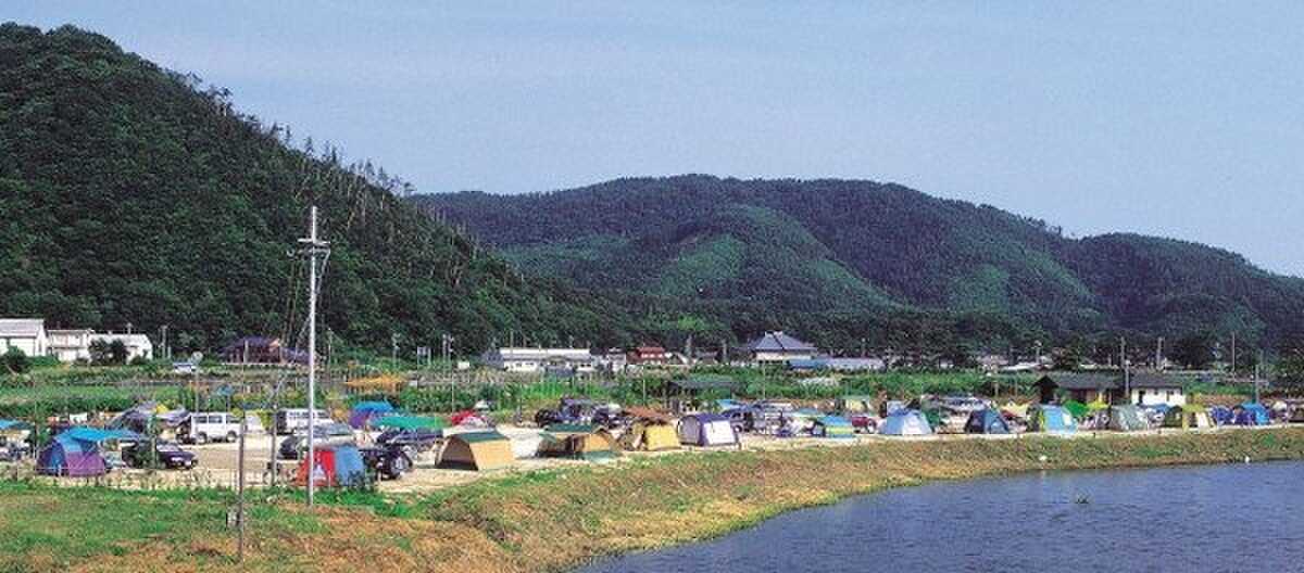 入り江にオートサイトが広がっています