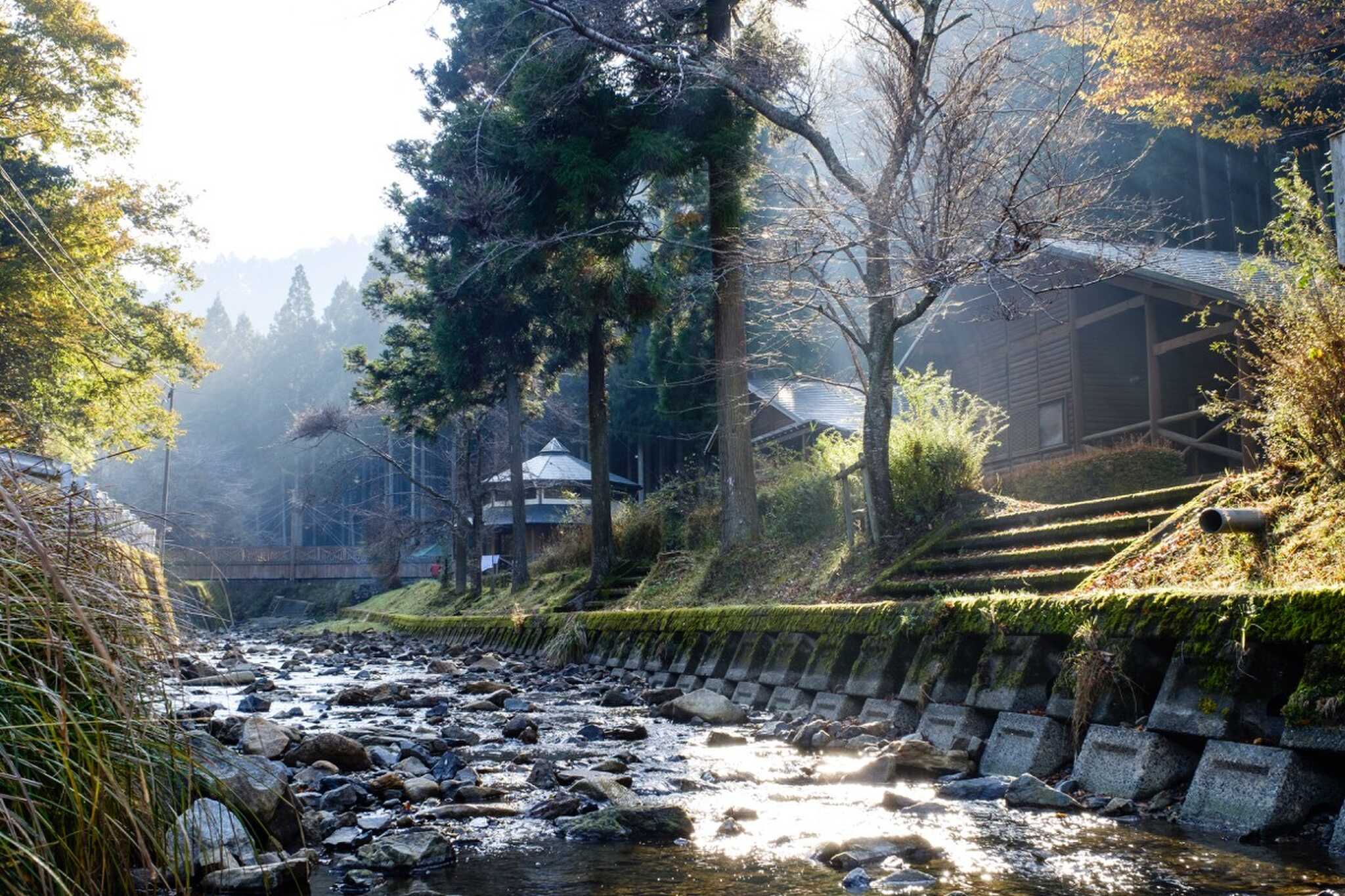コテージ目の前の小川で川遊びが楽しめます
