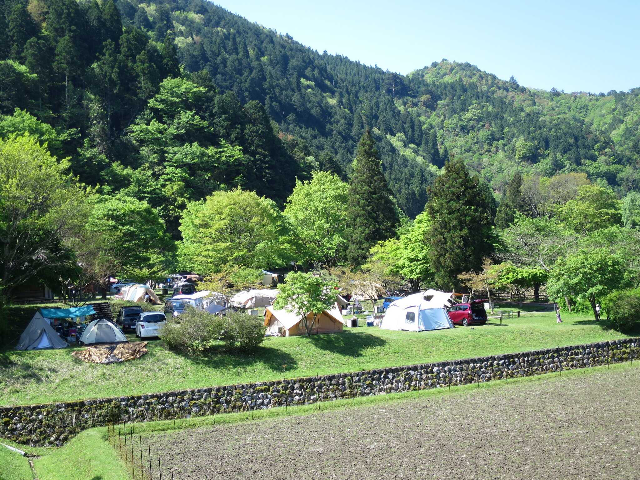 美山町自然文化村キャンプ場