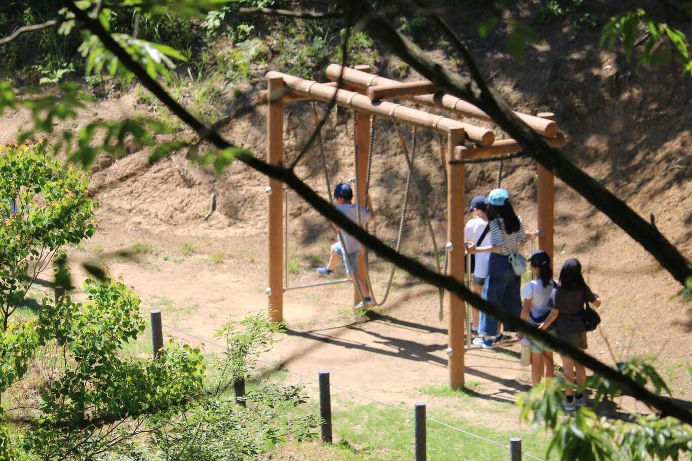青葉山ろく公園キャンプ場 photo 2