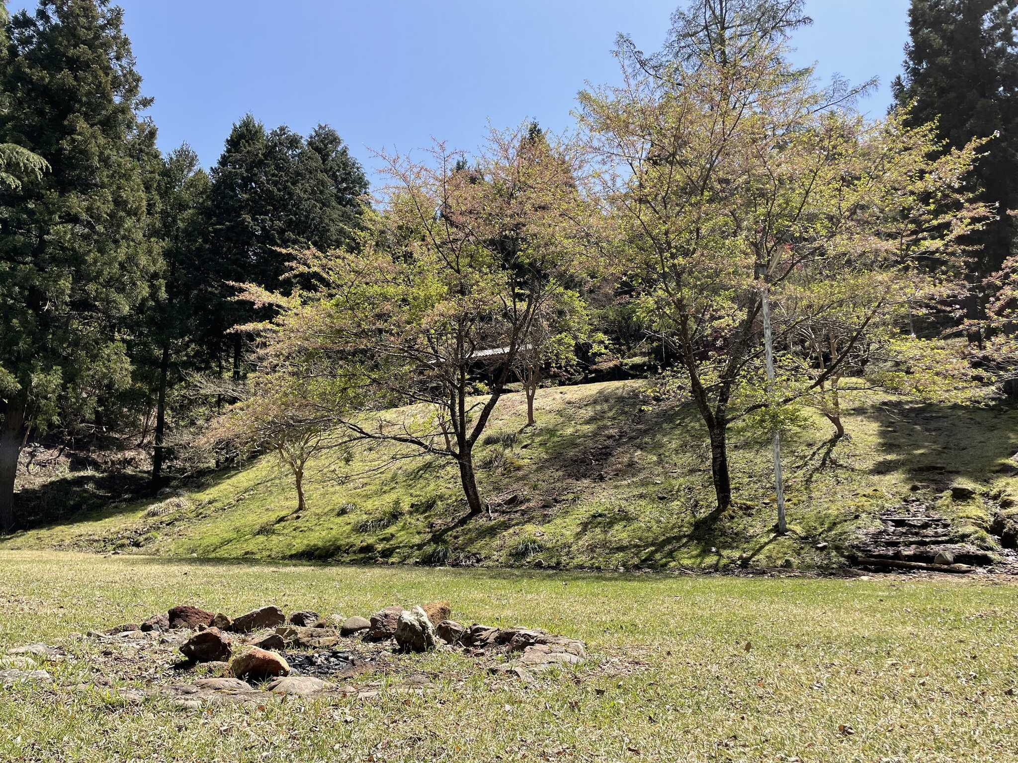 丹後天橋立大江山国定公園 酒呑童子の里キャンプ場の写真 3枚目