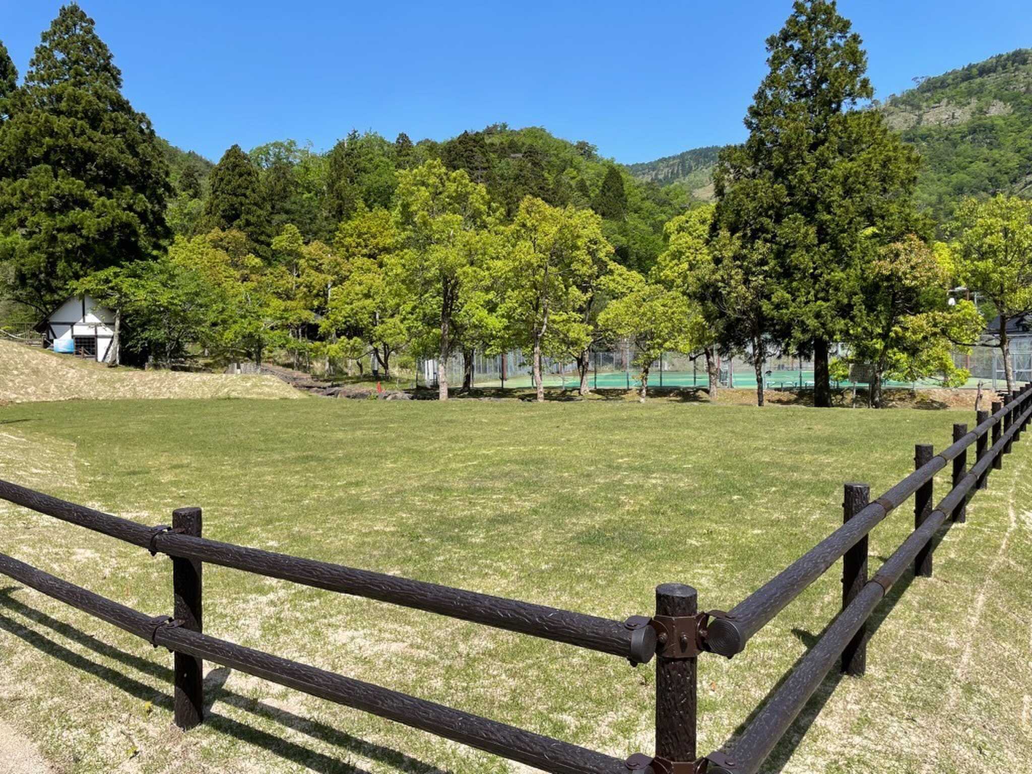 丹後天橋立大江山国定公園 酒呑童子の里キャンプ場の写真 4枚目