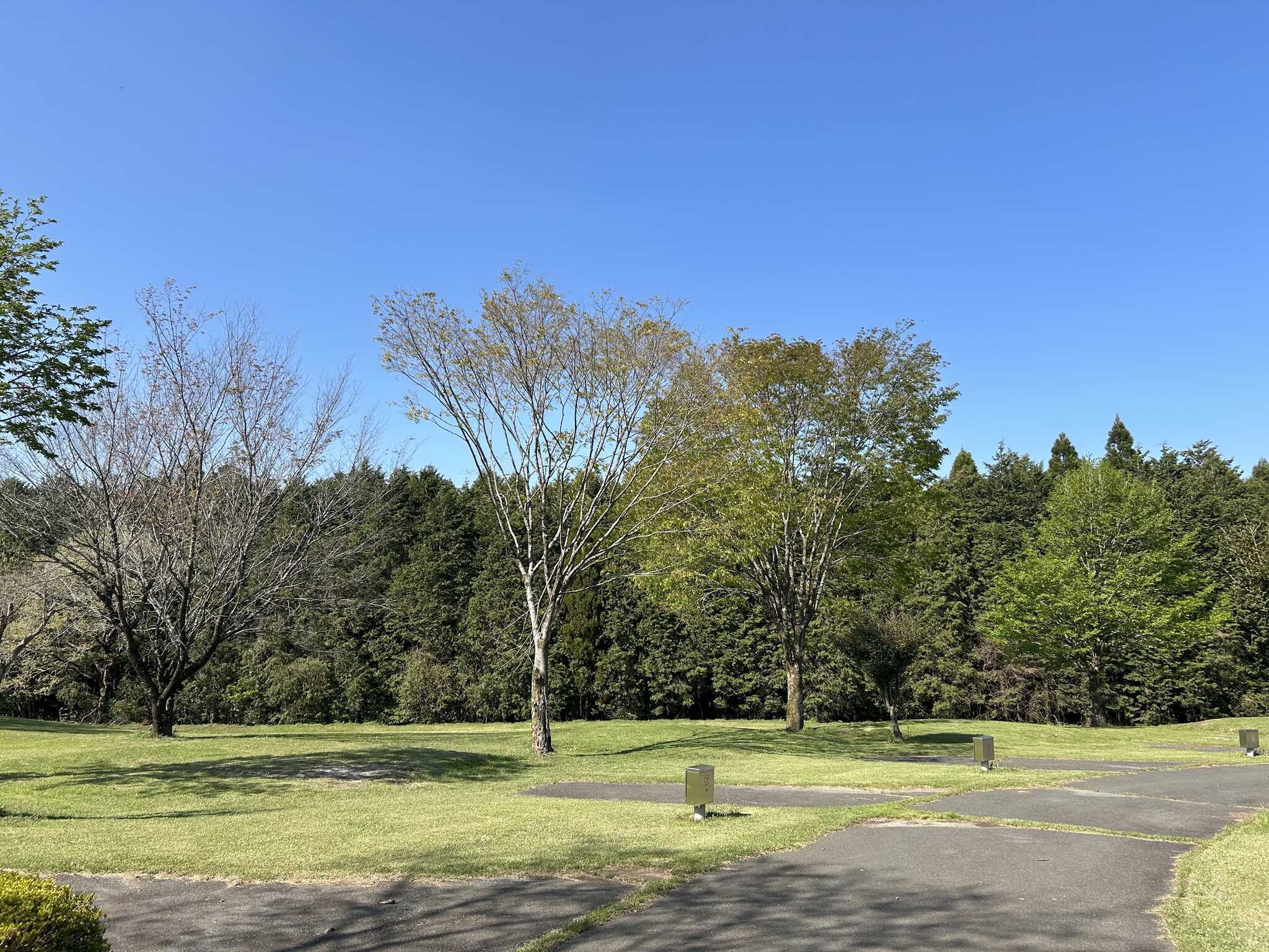 ファームビレッジ産山の写真 2枚目