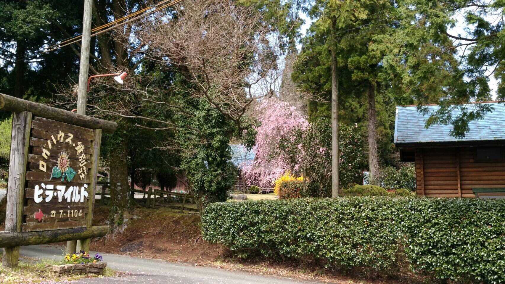 入り口には看板があります