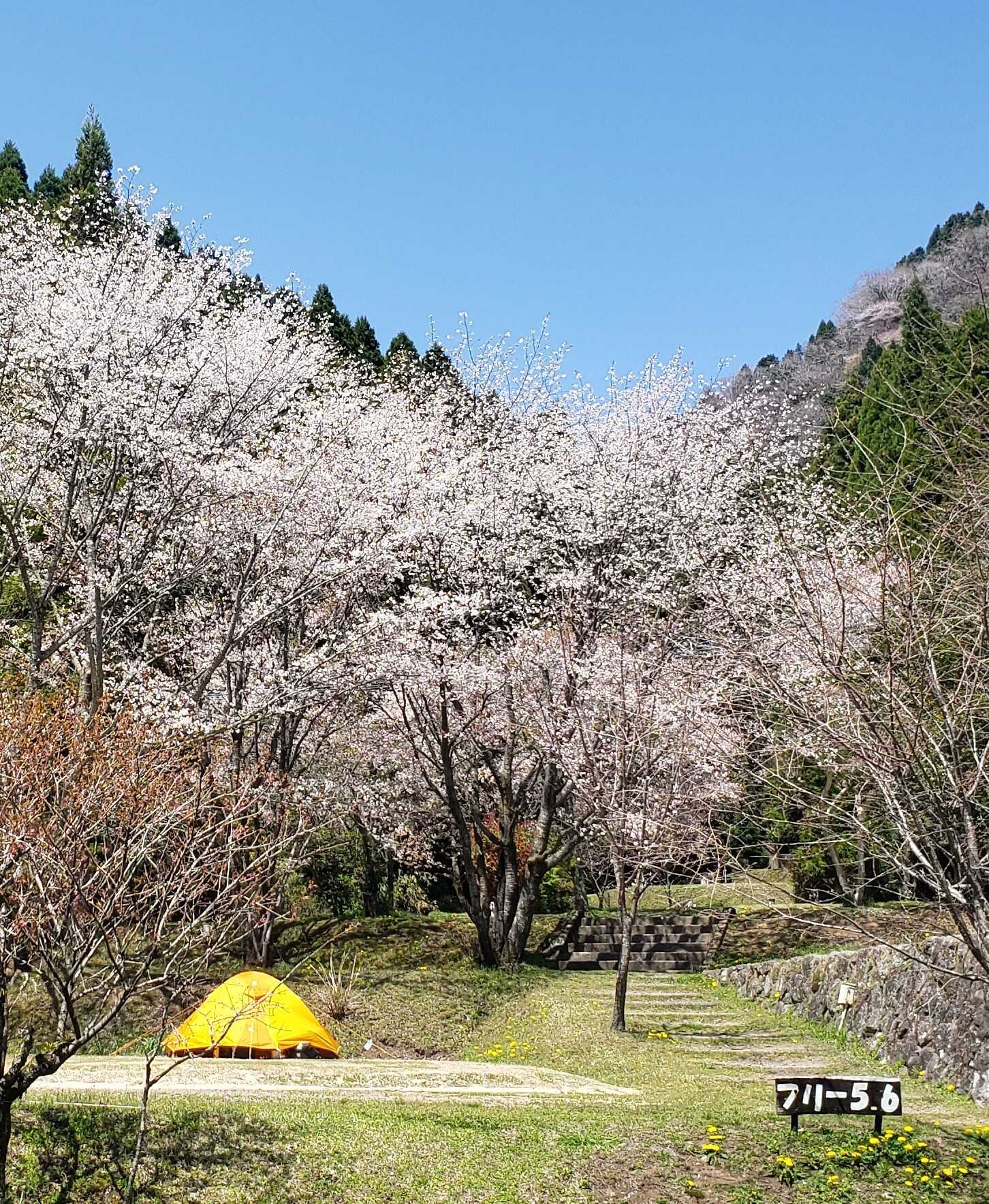古代の里キャンプ村の写真 2枚目