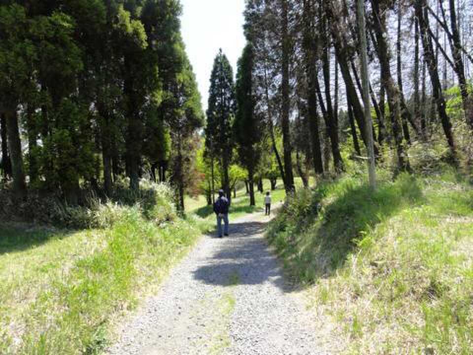 阿蘇くじゅう国立公園阿蘇山三合目坊中野営場(坊中キャンプ場)の写真 3枚目