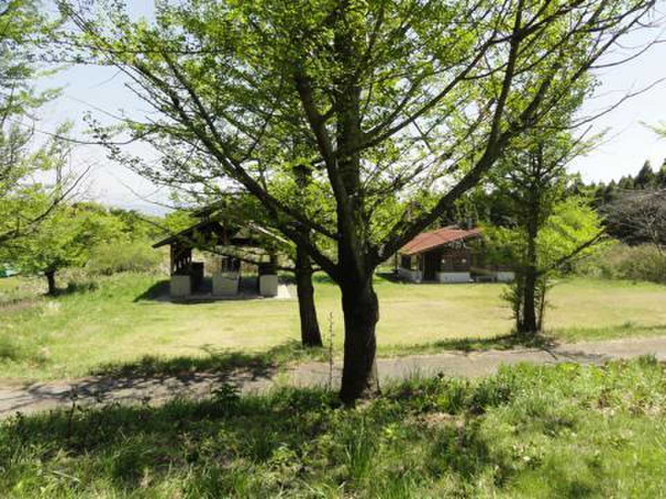 阿蘇くじゅう国立公園阿蘇山三合目坊中野営場(坊中キャンプ場)の写真 5枚目