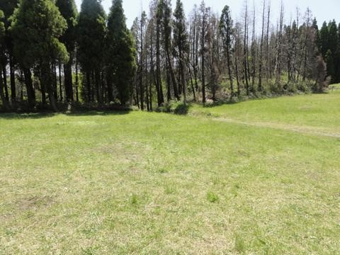 阿蘇くじゅう国立公園阿蘇山三合目坊中野営場（坊中キャンプ場） photo 4