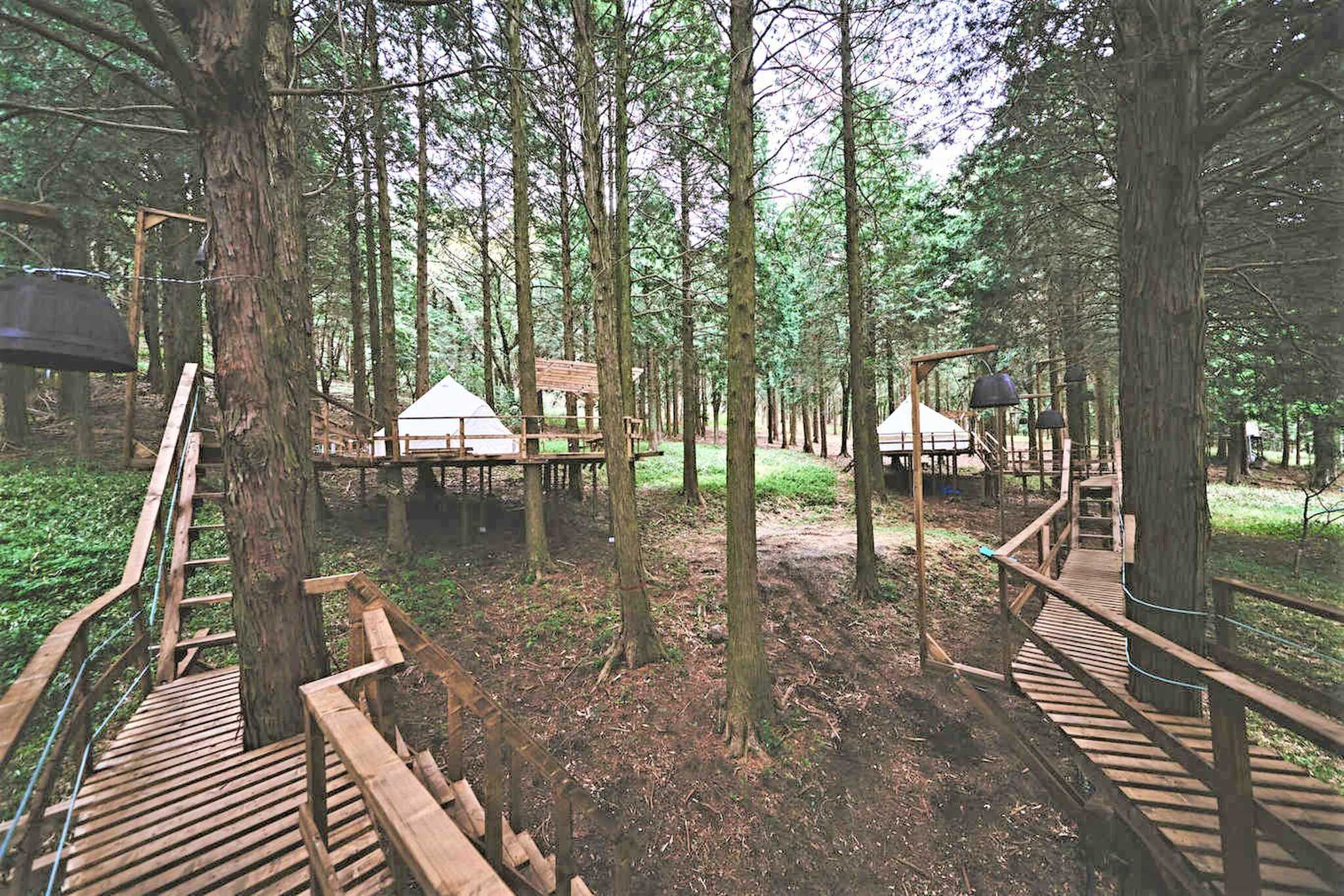 camping WOOD & WOOD BURNの写真 1枚目