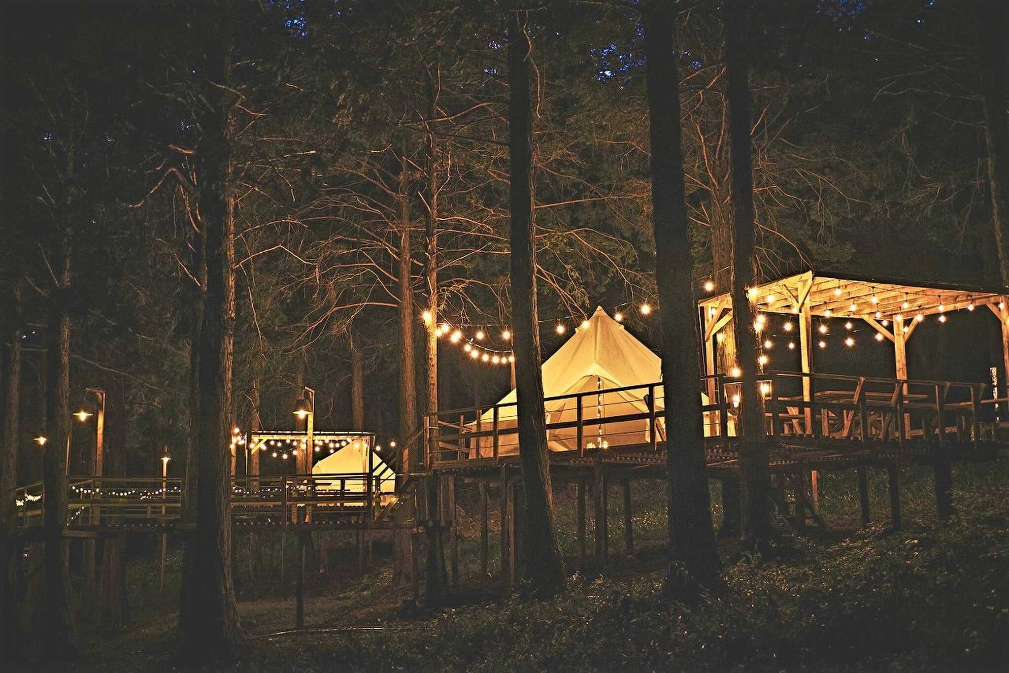 camping WOOD & WOOD BURNの写真 3枚目