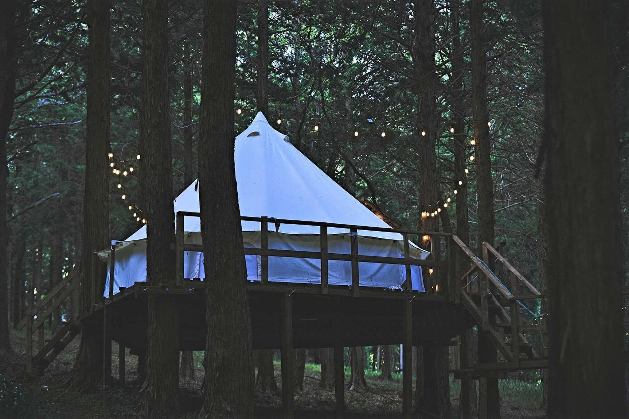 camping WOOD & WOOD BURNの写真 4枚目