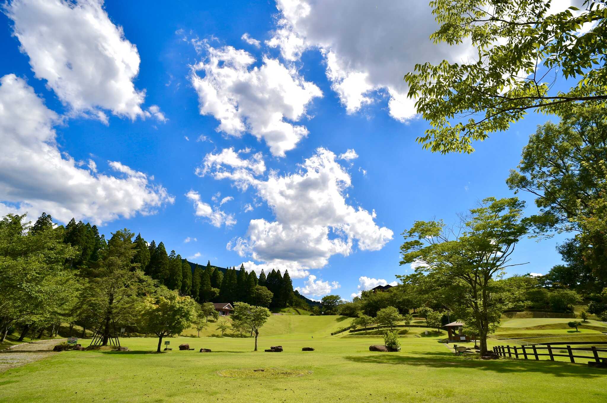 広大な芝生広場で走り回れる!