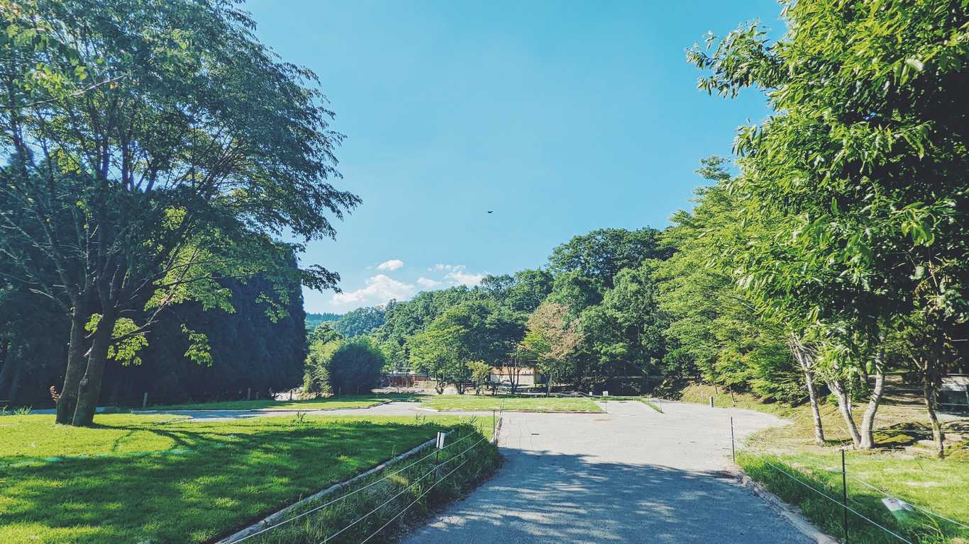山鳥の森オートキャンプ場の写真 5枚目