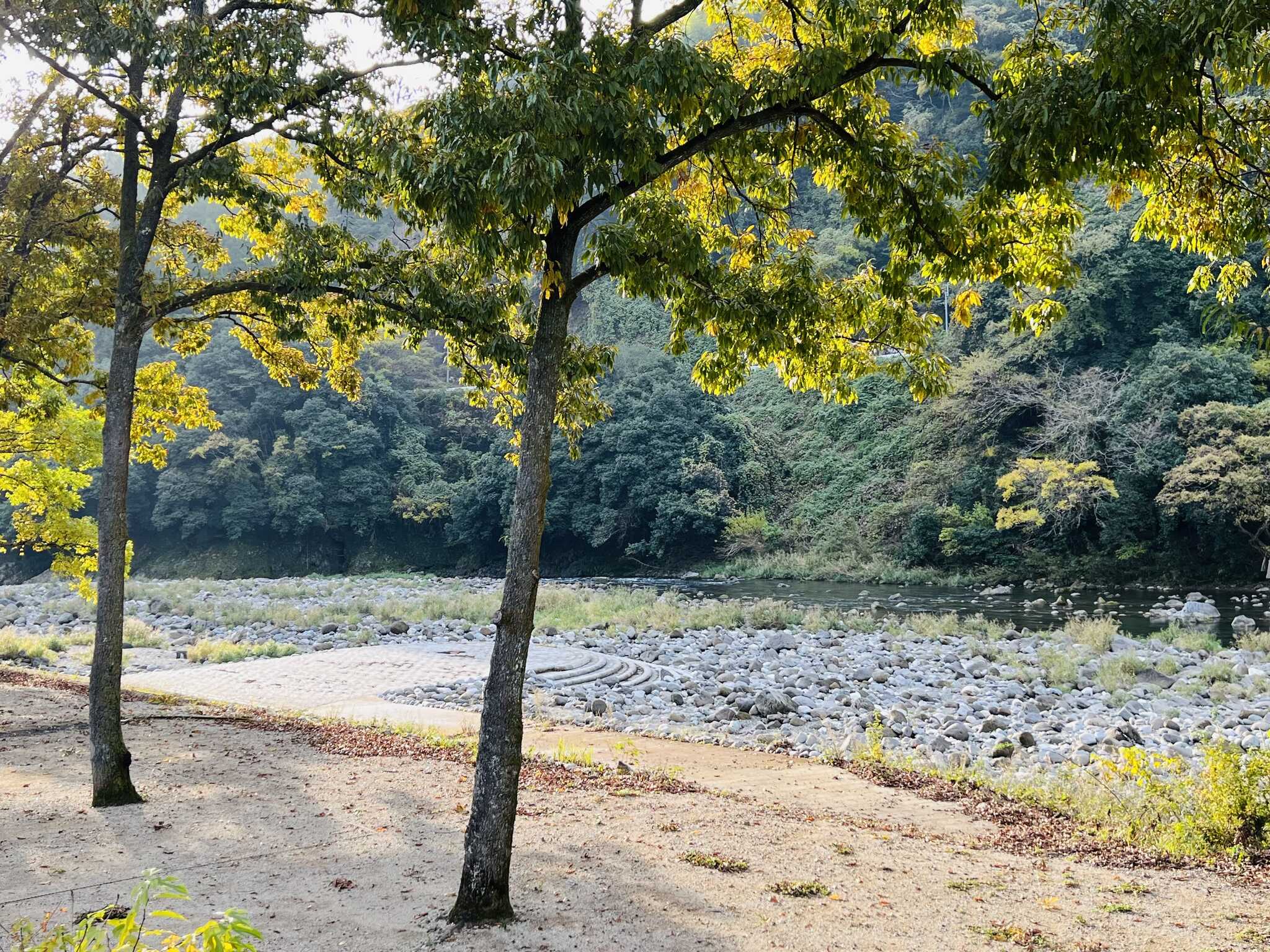 COMMON IDOE(旧:井戸江峡キャンプ場)の写真 2枚目