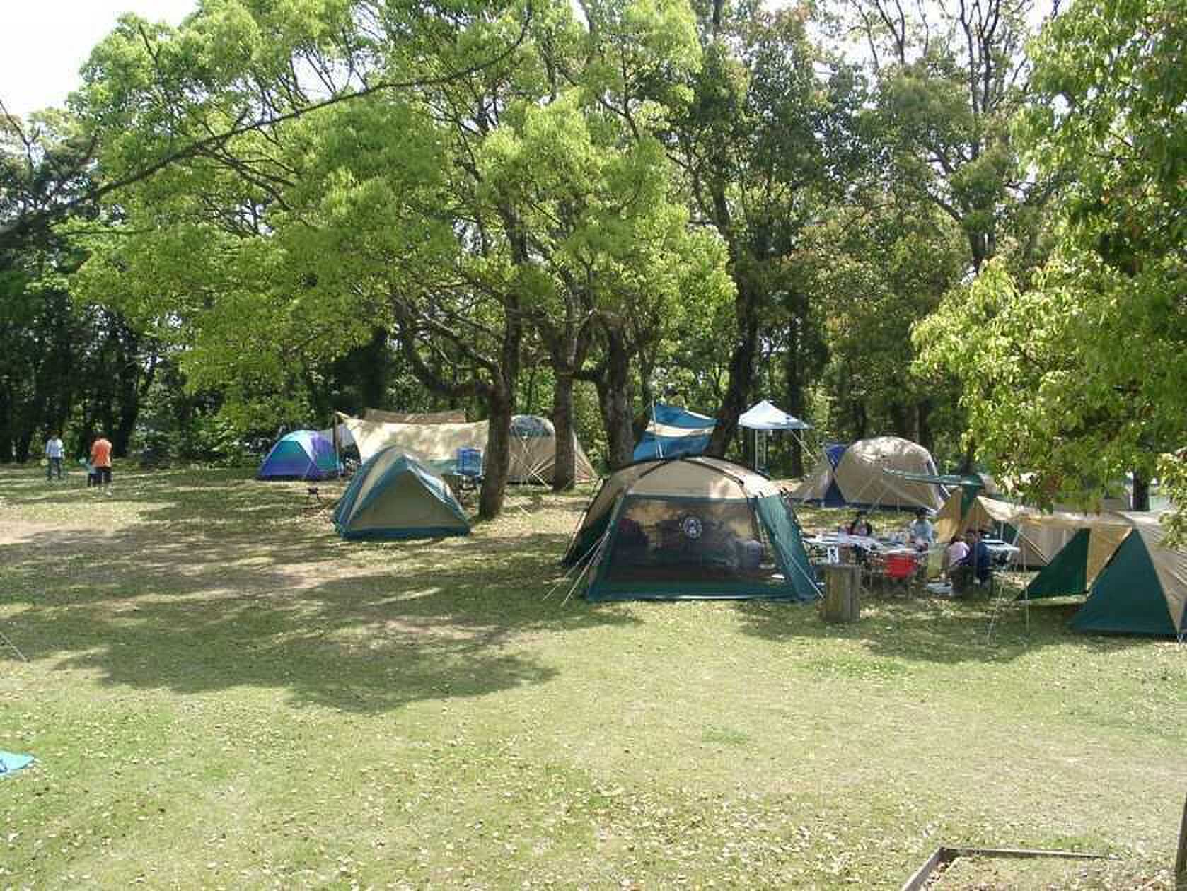 竜洞山みどりの村の写真 2枚目