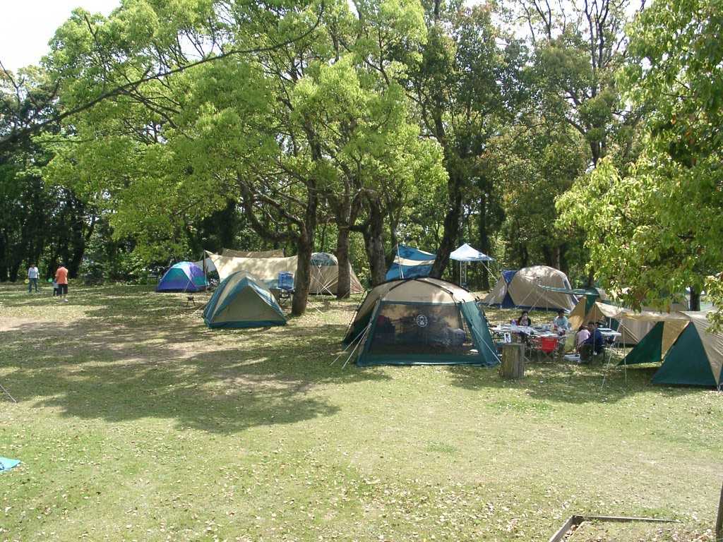 竜洞山みどりの村 photo 2
