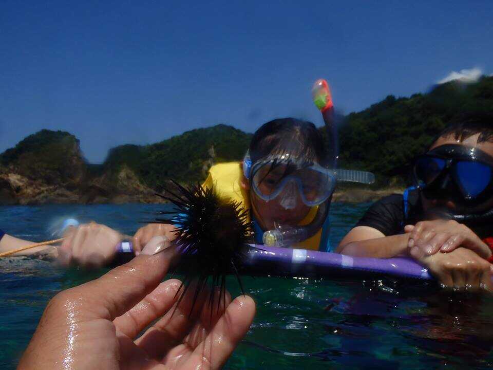 とどろき万太郎ビレッジの写真 3枚目