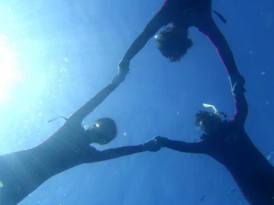 とどろき万太郎ビレッジの写真 1枚目