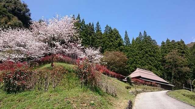 立神峡里地公園 キャンプ場