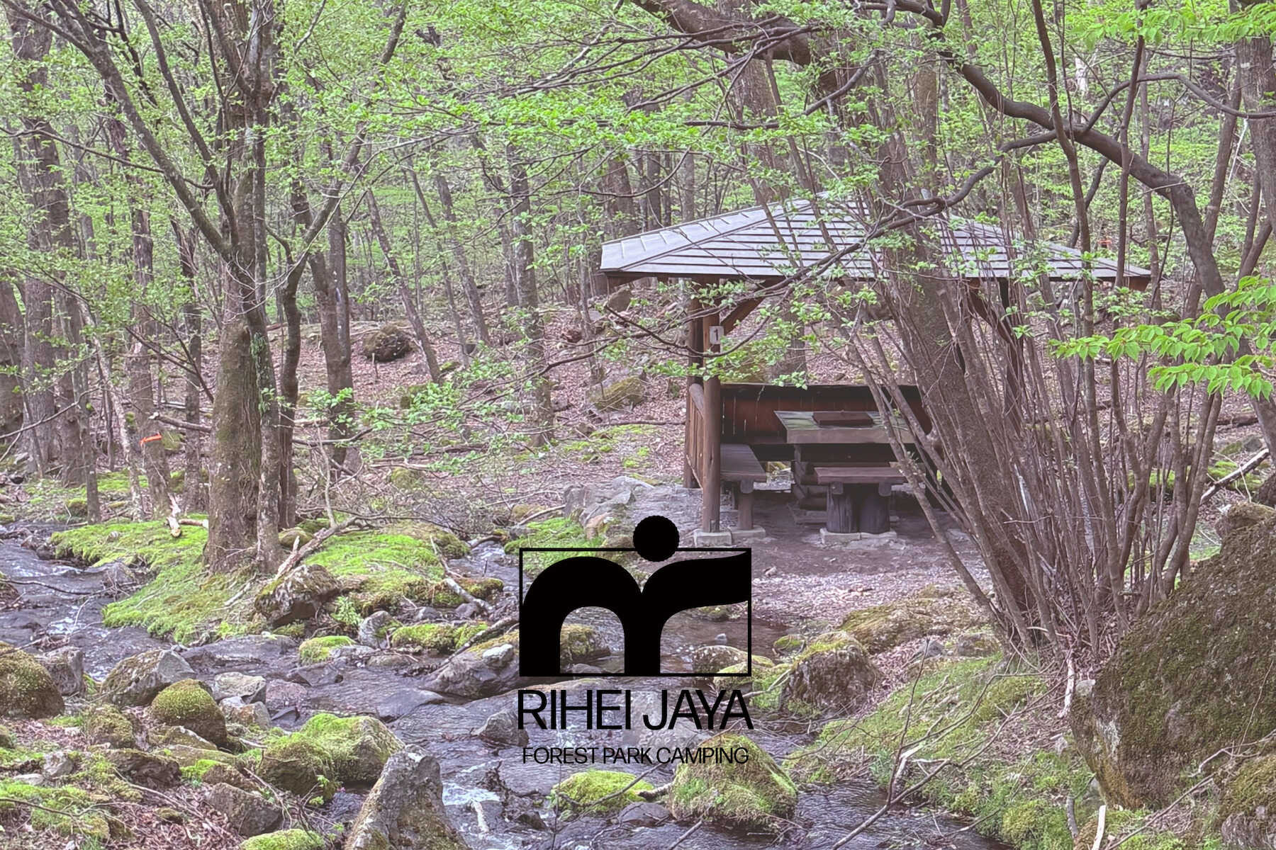 利平茶屋森林公園キャンプ場