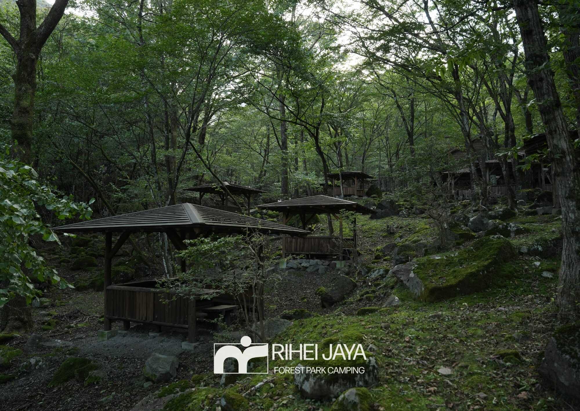 利平茶屋森林公園キャンプ場の写真 4枚目