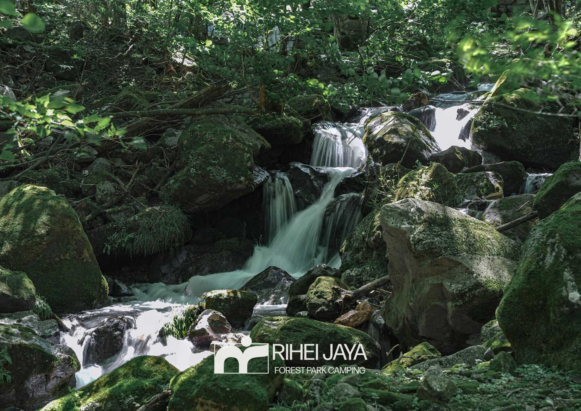 利平茶屋森林公園キャンプ場の写真 5枚目
