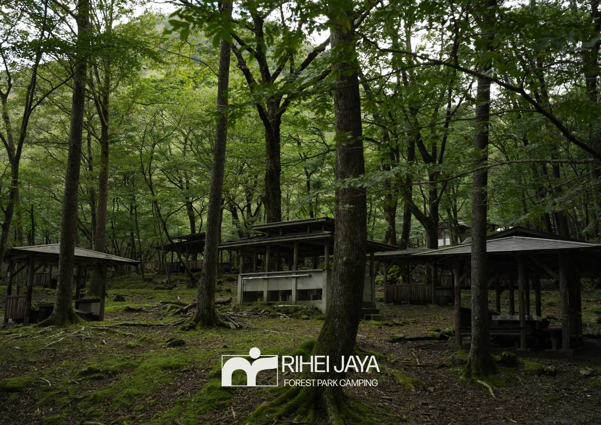利平茶屋森林公園キャンプ場の写真 1枚目