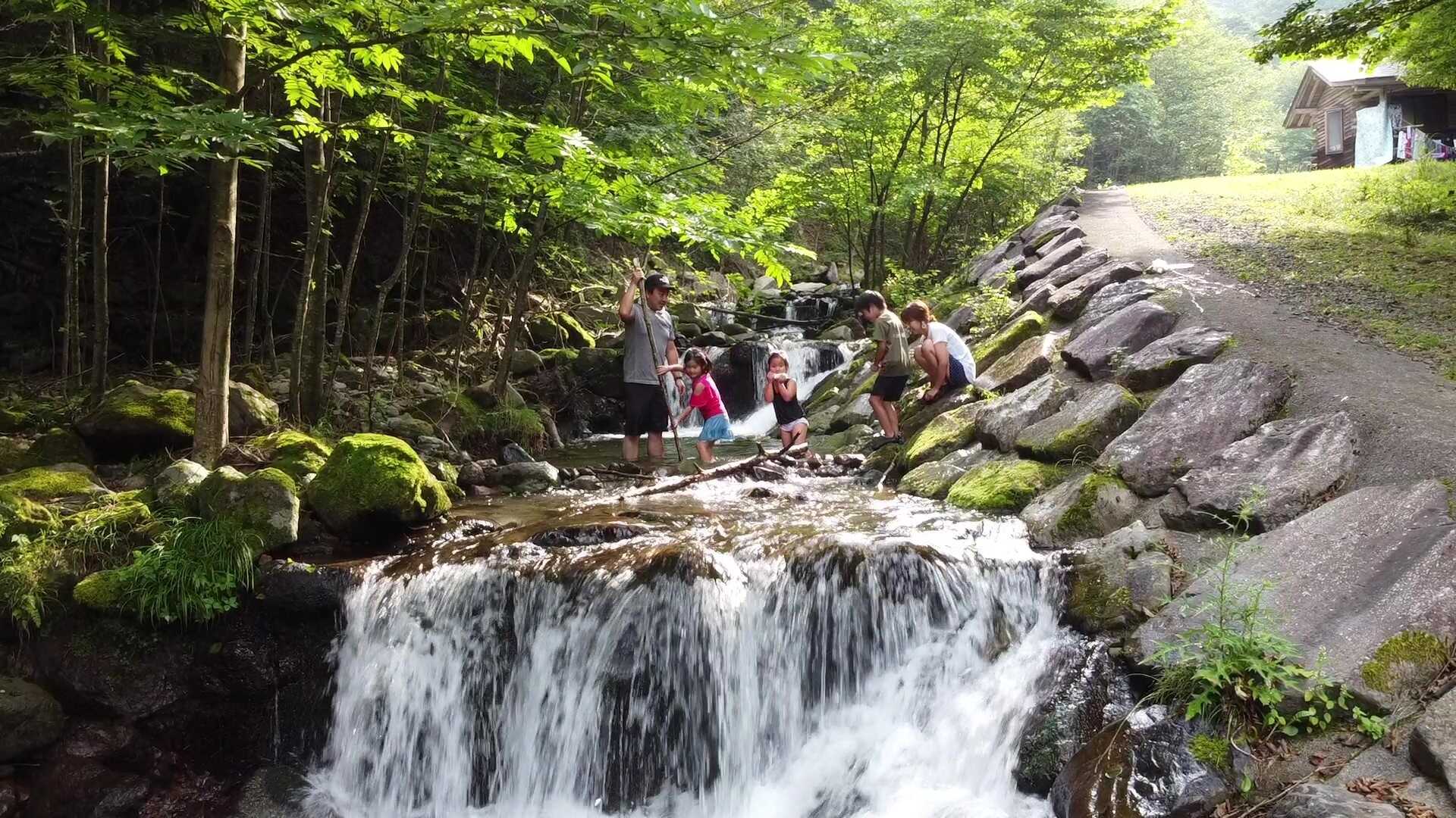園内を流れる清流「鳥居川」では、涼しい川遊びができます。