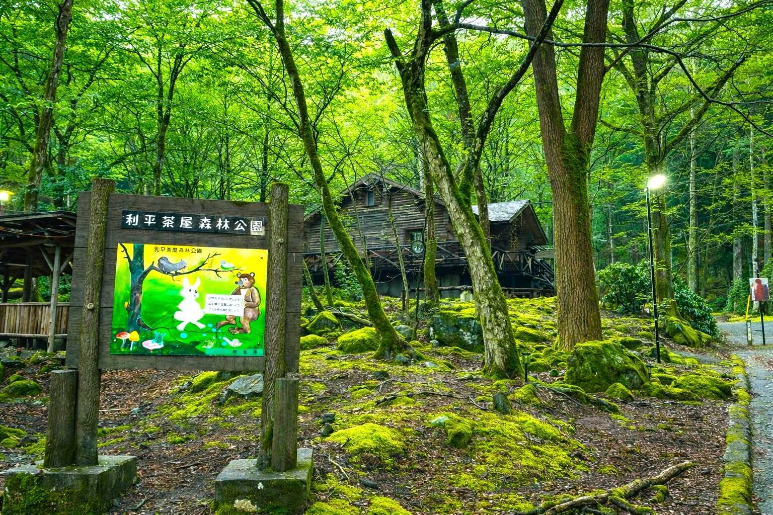 苔が群生する園内は神秘的な雰囲気です。