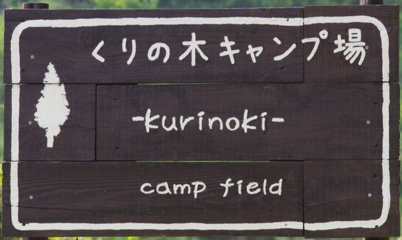 くりの木キャンプ場 photo 2