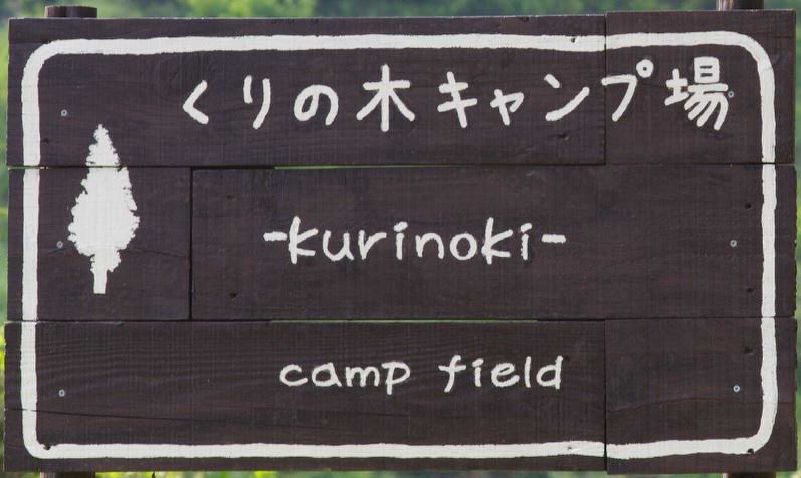 くりの木キャンプ場