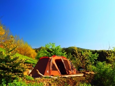 くりの木キャンプ場 photo 4