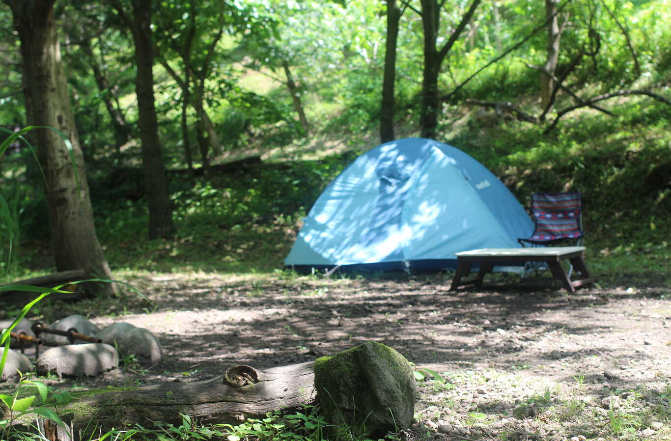 くりの木キャンプ場 photo 3
