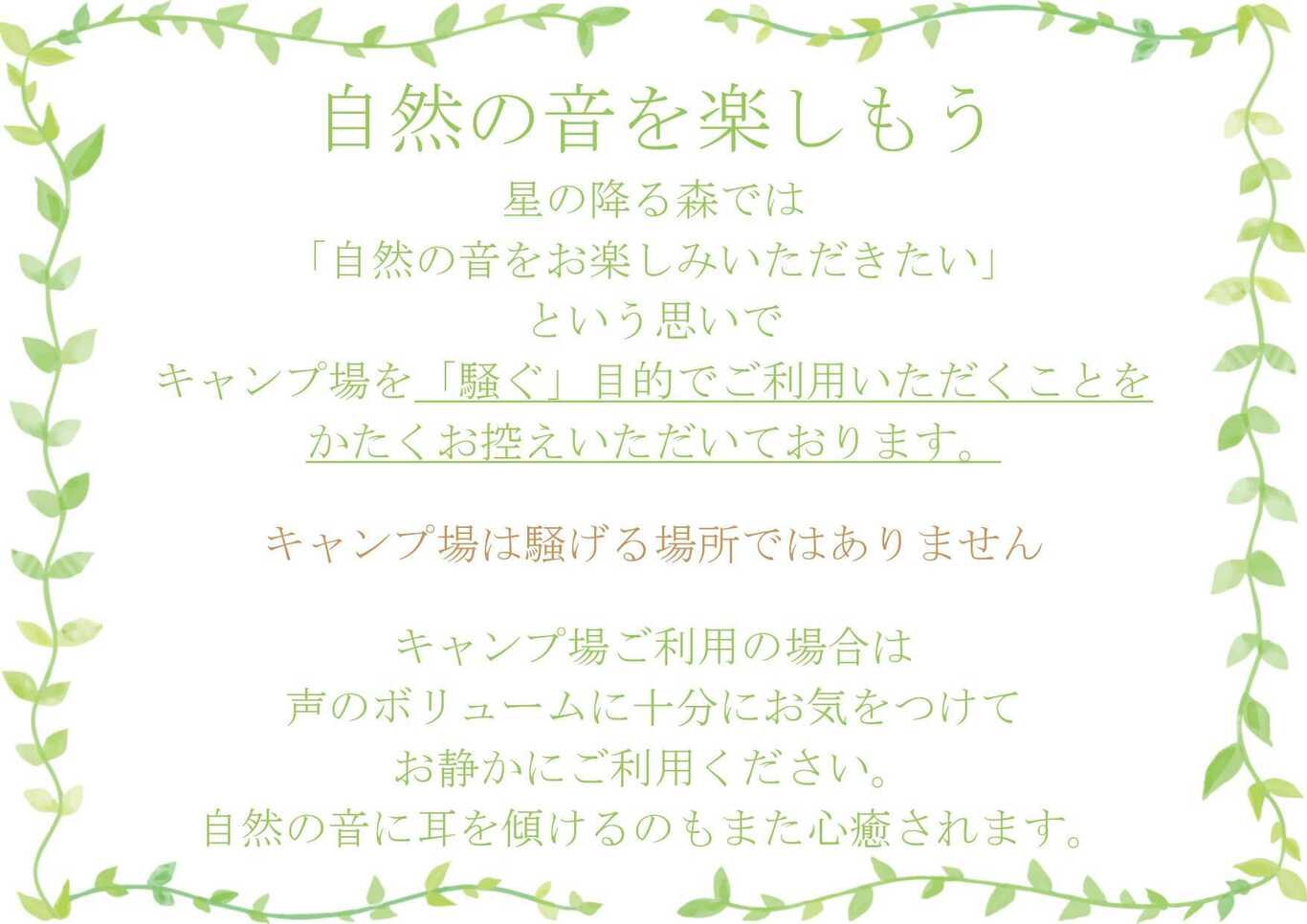 星の降る森 photo 3