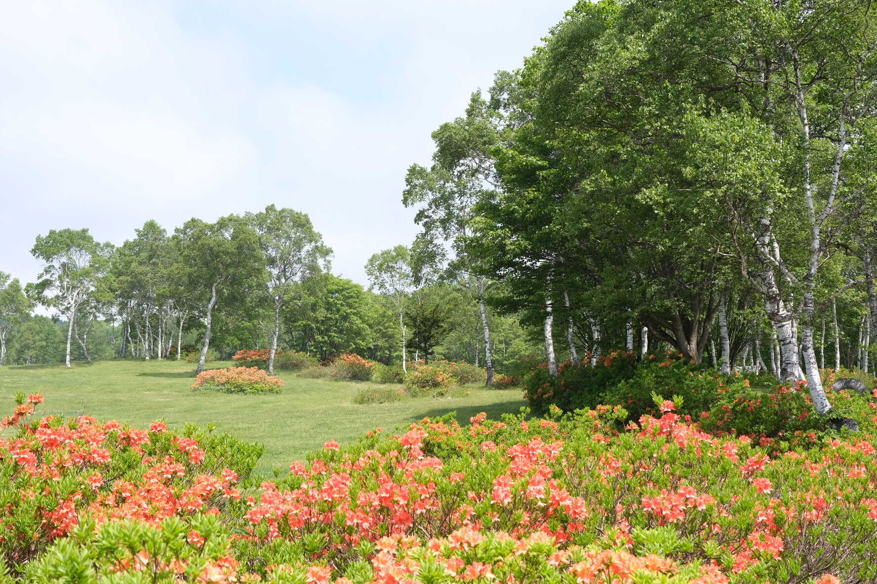 OZE-HOSHISORA GLAMPING&CAMP RESORT(旧:ほたか牧場キャンプ場)