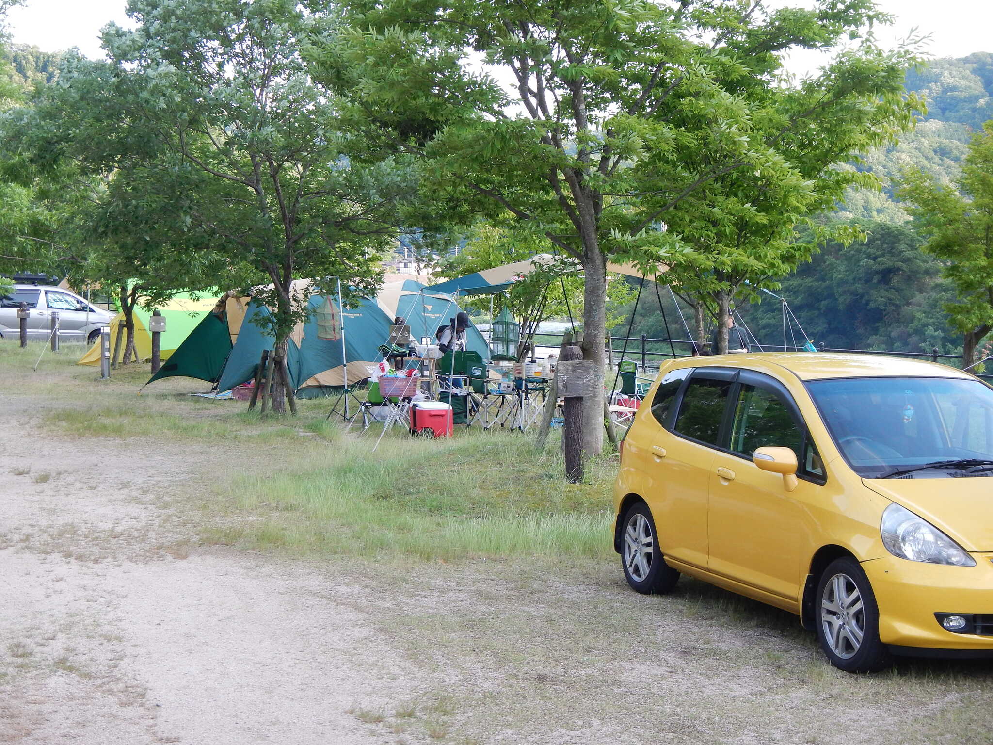 江の川カヌー公園さくぎの写真 2枚目