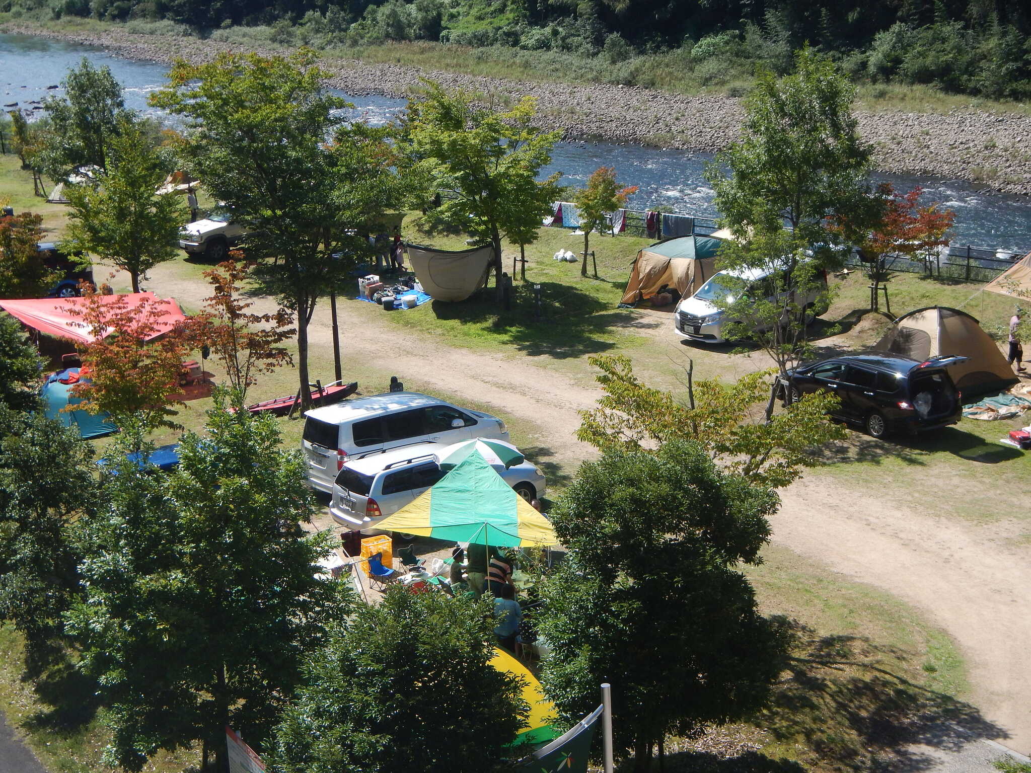 江の川カヌー公園さくぎの写真 1枚目