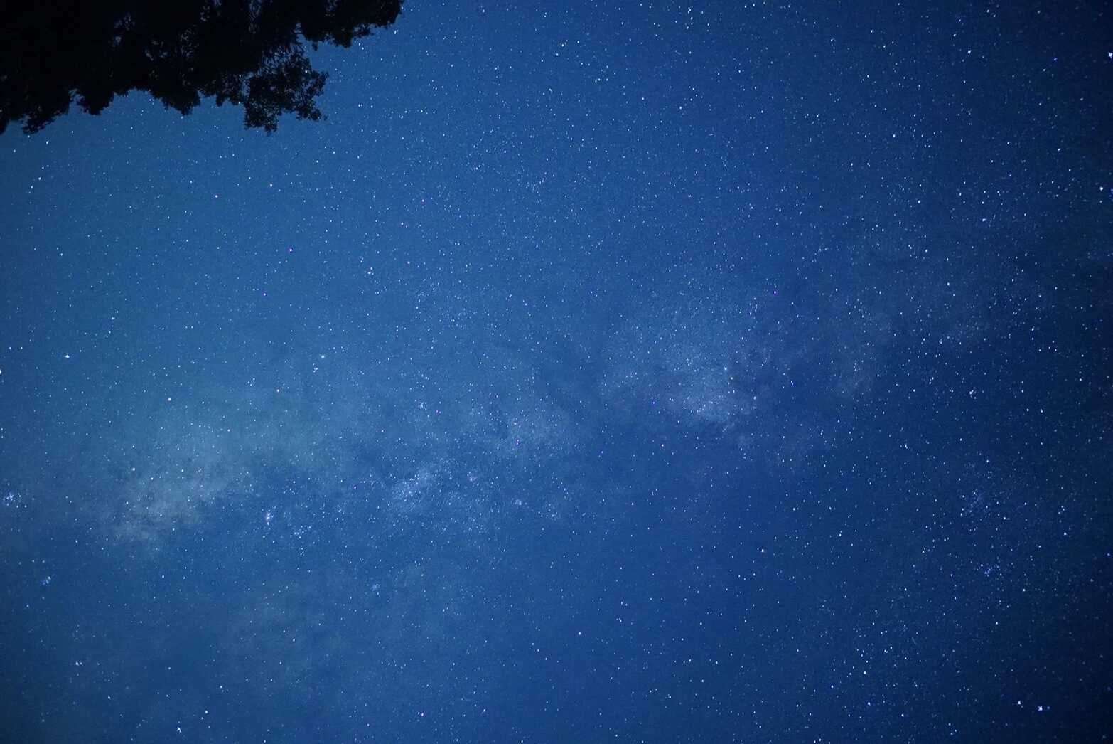 ハイヅカ湖畔の森の写真 2枚目