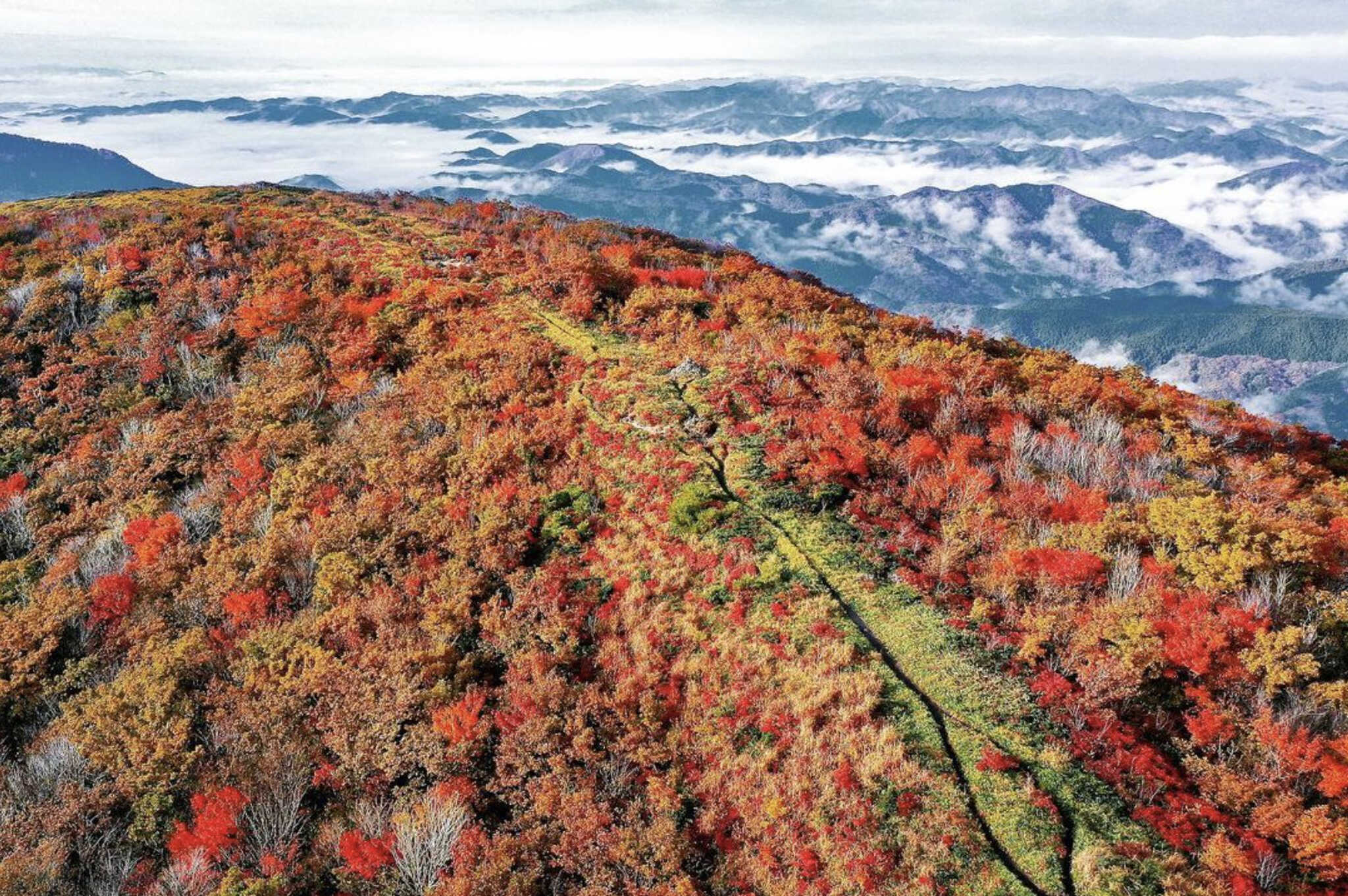 ひろしま県民の森キャンプ場の写真 4枚目