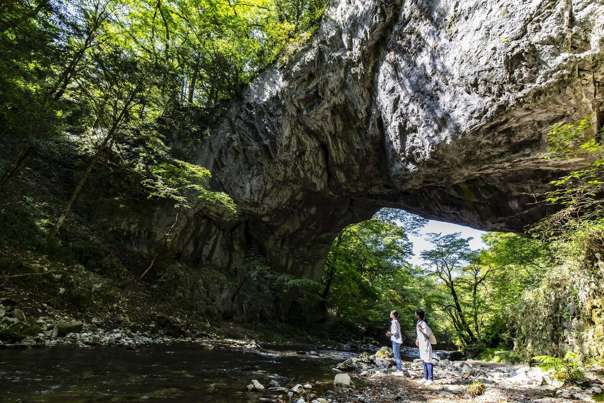 休暇村帝釈峡くぬぎの森オートキャンプ場の写真 4枚目