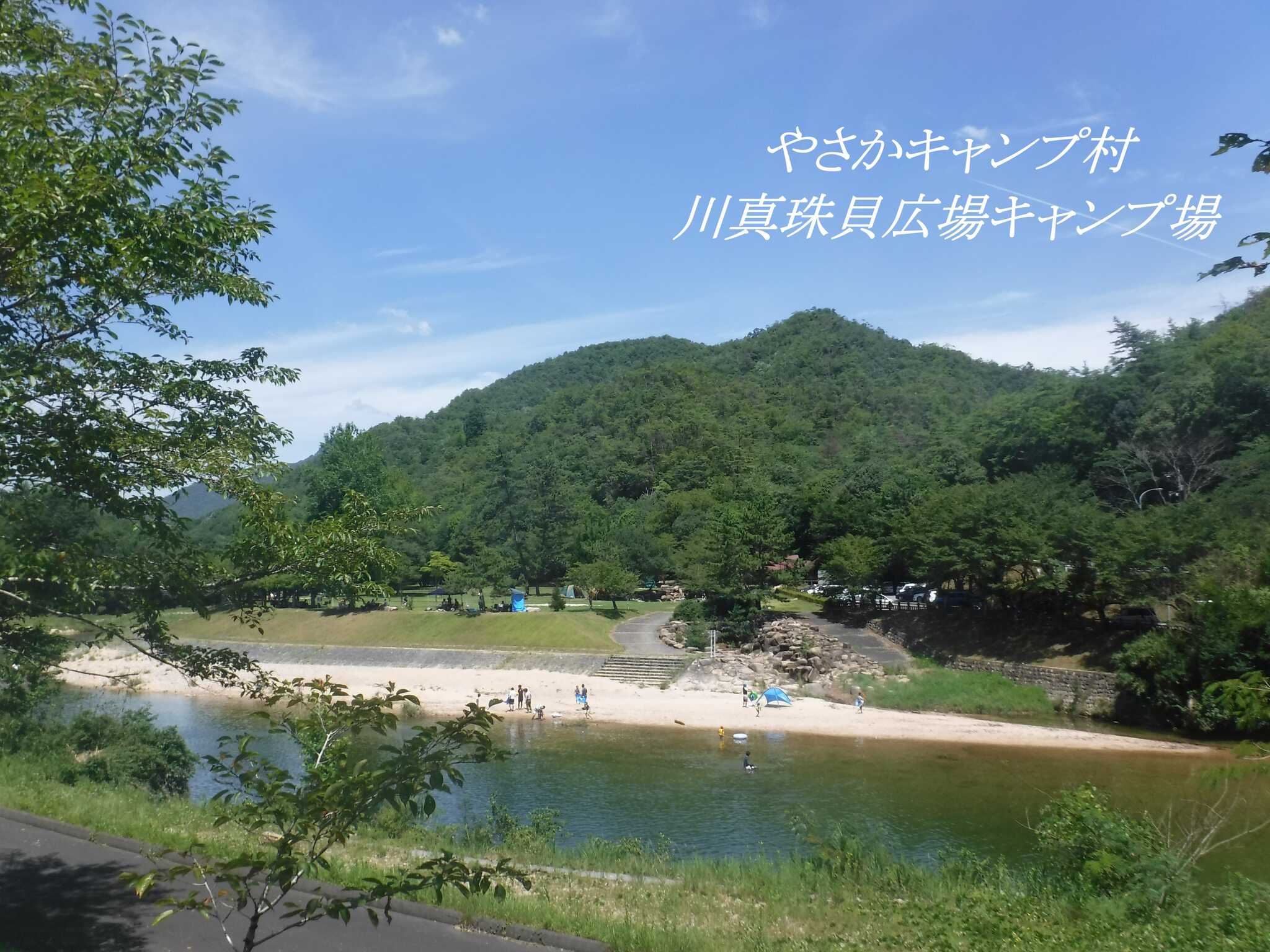 やさかキャンプ村 川真珠貝広場キャンプ場