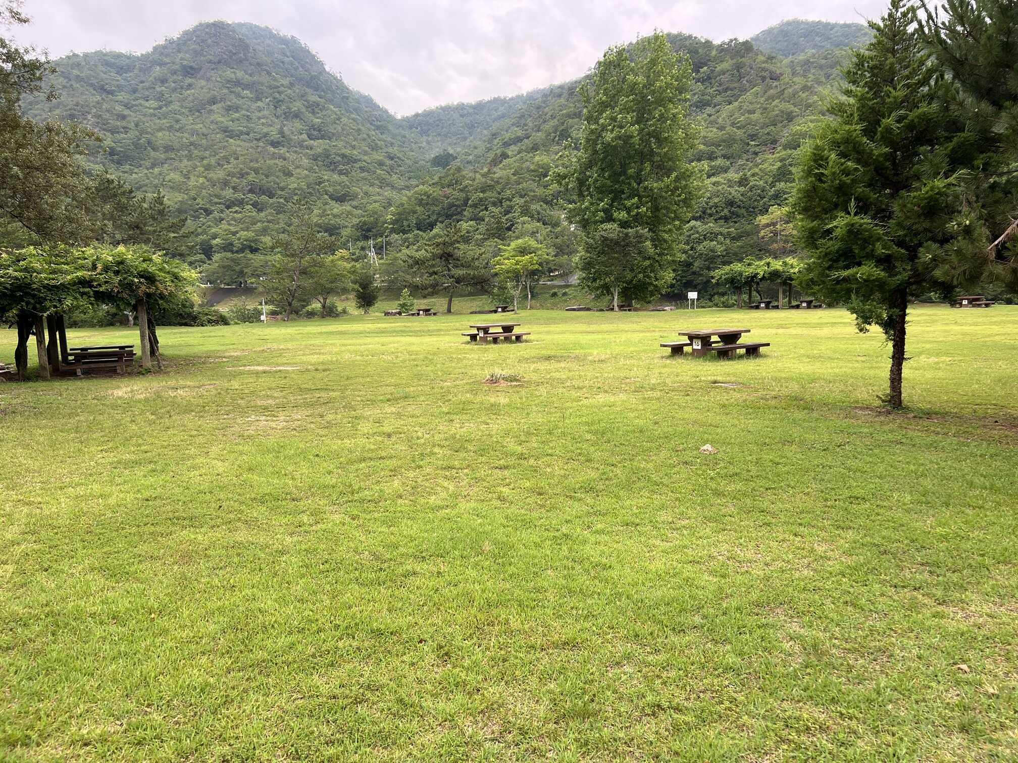 やさかキャンプ村 川真珠貝広場キャンプ場の写真 2枚目